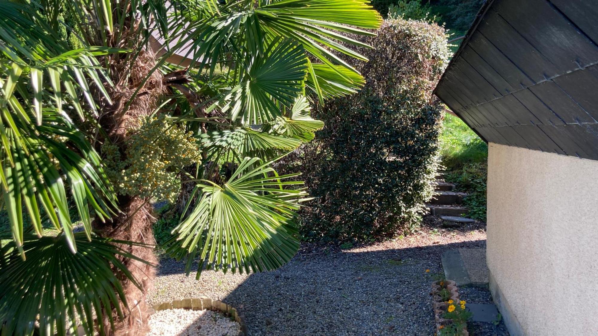 Gites De Stouet Artalens-Souin Exterior foto
